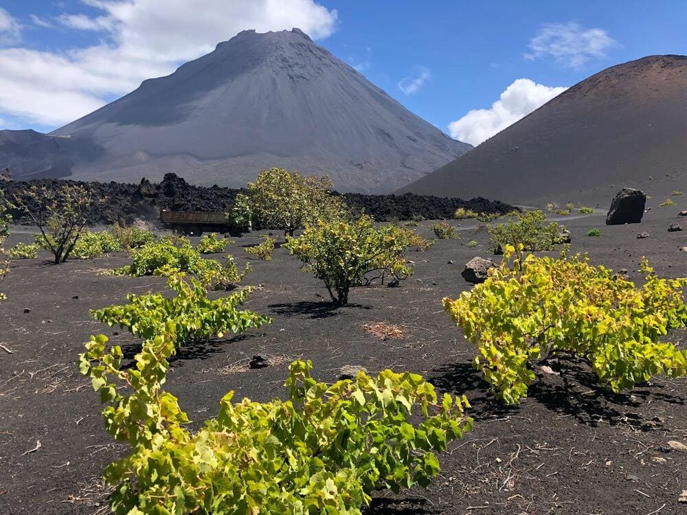 noorderlicht kaapverdieI saIo vicente de nederlandse vloot